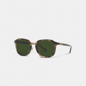 Coach Rounded Geometric Sunglasses Groen | COH866342