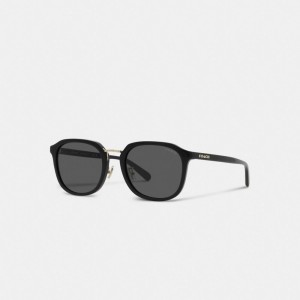 Coach Rounded Geometric Sunglasses Zwart | COH866374