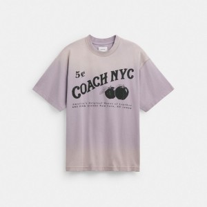 Coach Signature Apple T Shirt Paars | COH866921