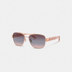 Coach Signature Ombré Narrow Pilot Sunglasses Paars | COH866378