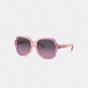 Coach Signature Ombré Oversized Square Sunglasses Roze Paars | COH866387
