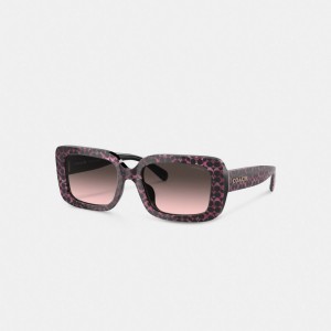 Coach Signature Oversized Rectangle Sunglasses Zwart Roze | COH866333