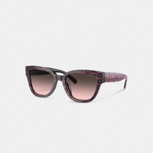 Coach Signature Round Sunglasses Roze | COH866359