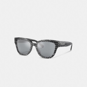 Coach Signature Round Sunglasses Zilver | COH866393