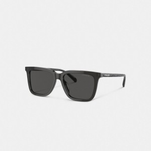 Coach Signature Square Sunglasses Grijs | COH867063