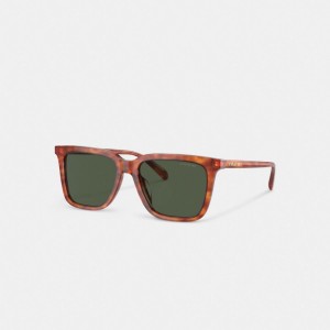 Coach Signature Square Sunglasses Groen | COH867056