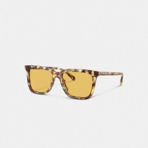 Coach Signature Square Sunglasses Oranje | COH867076