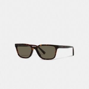 Coach Signature Workmark Square Sunglasses Bruin | COH866368