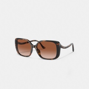 Coach Swoop Temple Rectangle Sunglasses Bruin | COH866325
