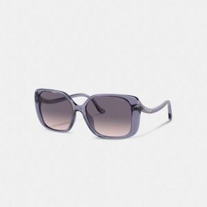 Coach Swoop Temple Rectangle Sunglasses Paars | COH866343