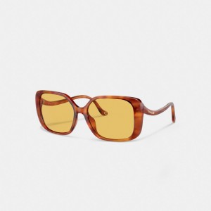 Coach Swoop Temple Rectangle Sunglasses Bruin | COH866375