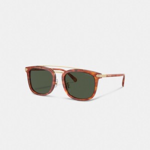 Coach Wrap Around Hangtag Browbar Sunglasses Bruin | COH867070