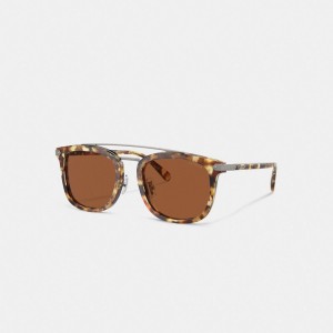 Coach Wrap Around Hangtag Browbar Sunglasses Oranje | COH867086