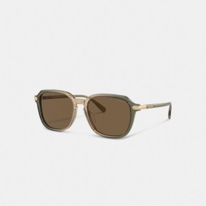 Coach Wrap Around Hangtag Keyhole Sunglasses Groen Bruin | COH867084