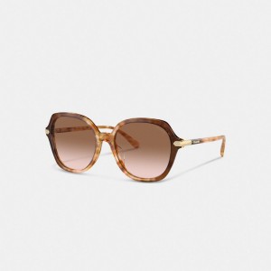 Coach Wrap Around Hangtag Oversized Geometric Round Sunglasses Oranje | COH866341
