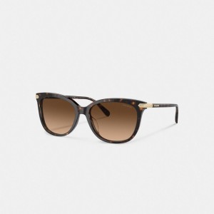 Coach Wrap Around Hangtag Square Sunglasses Bruin | COH866396